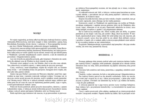 Pan Wołodyjowski_henryk sienkiewicz_2_ksiegarniaksiazkiprzyherbacie.jpg