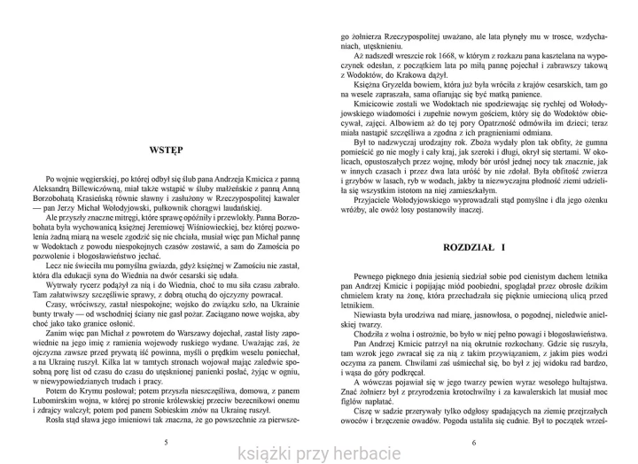 Pan Wołodyjowski_henryk sienkiewicz_2_ksiegarniaksiazkiprzyherbacie.jpg
