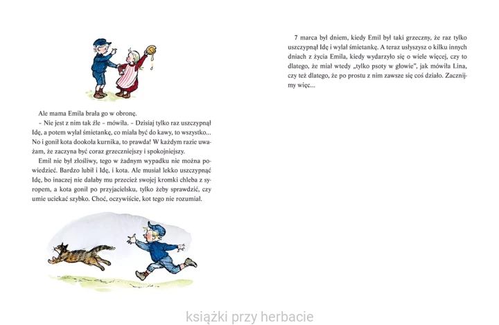 Przygody Emila ze Smalandii_5_astrid lindgren_ksiegarniaksizkiprzyherbacie.jpg