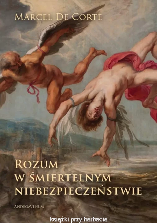 Rozum w śmiertelnym niebezpieczeństwie_de corte_ksiegarniaksiazkiprzyherbacie.jpg