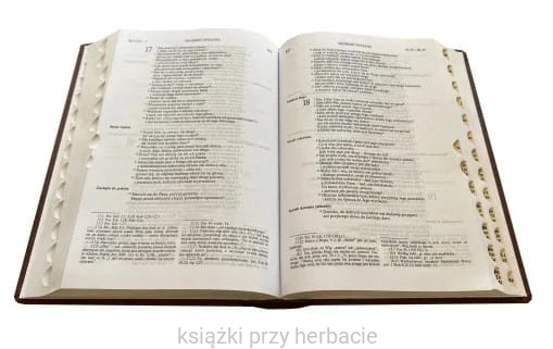 biblia 1.jpg