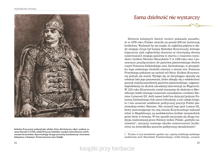 Monarchia polska 9_grzegorz kucharczyk_ksiegarniaksiazkiprzyherbacie.jpg