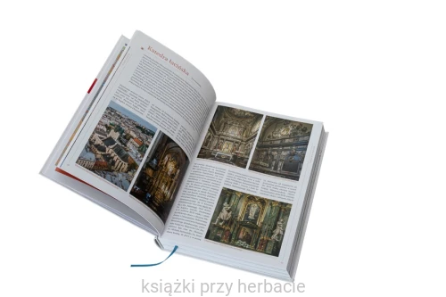 Lwów. Przewodnik ilustrowany 2_osip-pokrywka_ksiegarniaksiazkiprzyherbacie.jpg