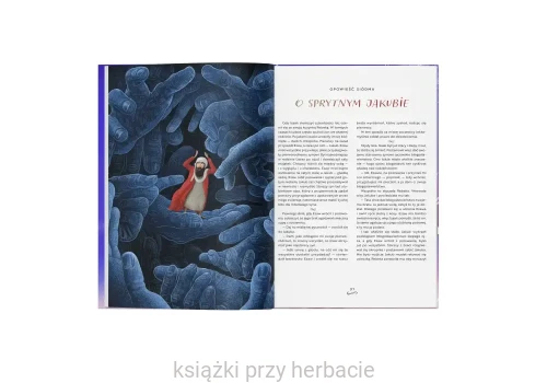 Opowieści biblijne. Stary Testament 2_bednarek_minor_ksiegarniaksiazkiprzyherbacie.jpg