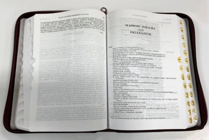 biblia tysiaclecia_złocenia_futerał 2_ksiegarniaksiazkiprzyherbacie.jpg