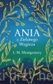 Ania z Zielonego Wzgórza ekskluzywna edycja_ksiegarniaksiazkiprzyherbacie.jpg