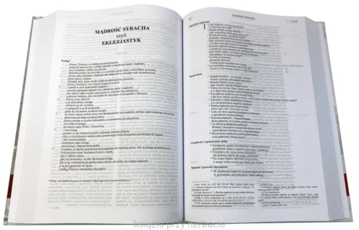 biblia rodzinna_sakrament małżeństwa 2_ksiegarniaksiazkiprzyherbacie.jpg