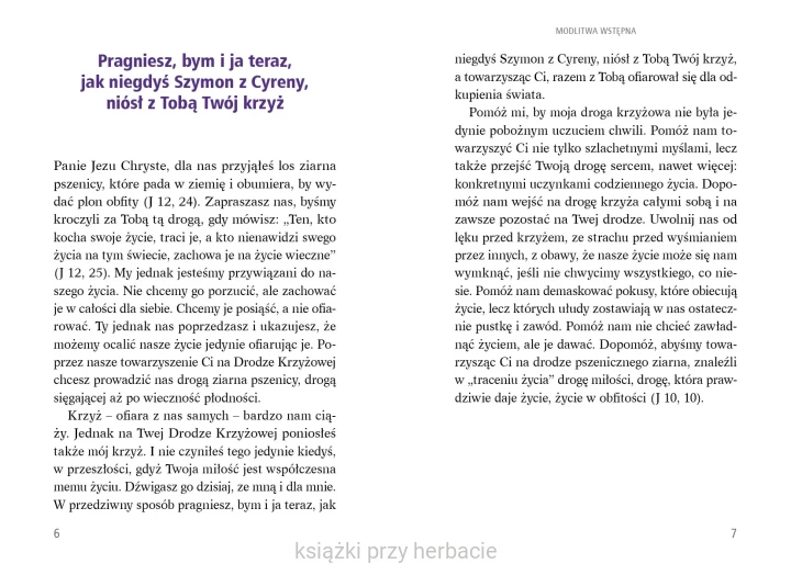 Droga Krzyżowa. Proroczy głos z Koloseum 3_ratzinger_skrzypczak_ksiegarniaksiazkiprzyherbacie.jpg