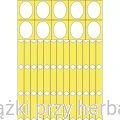 Moja Rodzina - drzewo genealogiczne 3_ksiegarniaksiazkiprzyherbacie.jpg