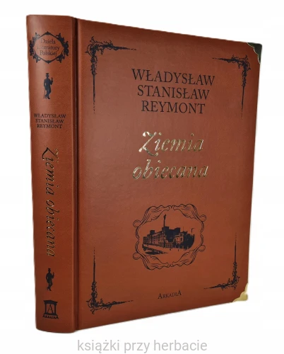 Ziemia obiecana 2_władysław reymont_ksiegarniaksiazkiprzyherbacie.jpg