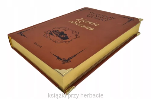 Ziemia obiecana 3_władysław reymont_ksiegarniaksiazkiprzyherbacie.jpg