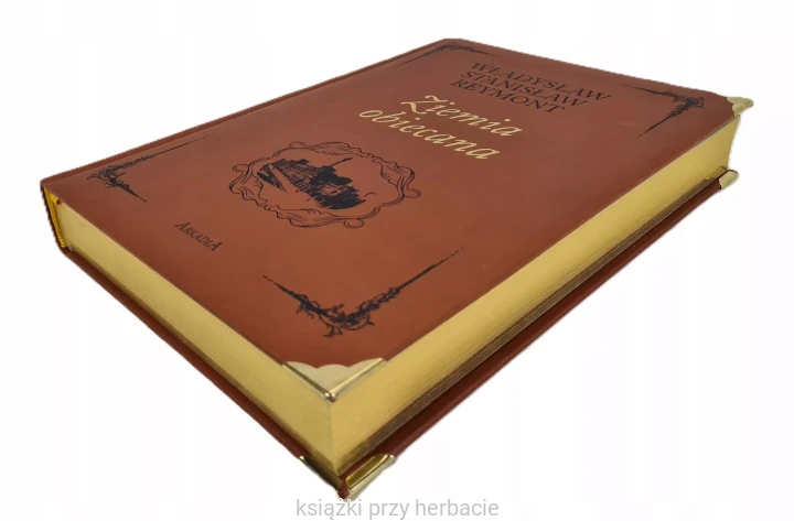 Ziemia obiecana 3_władysław reymont_ksiegarniaksiazkiprzyherbacie.jpg