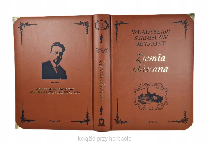 Ziemia obiecana_władysław reymont_ksiegarniaksiazkiprzyherbacie.jpg