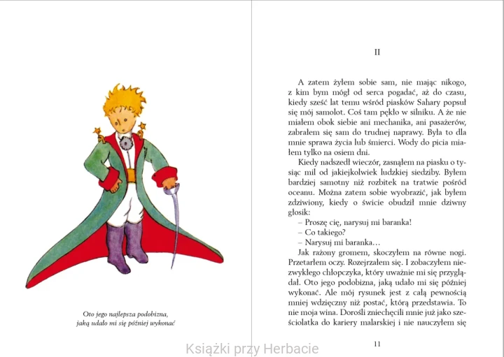 Mały Książę (ekskluzywne wydanie z barwionymi brzegami) 5_ksiegarniaksiazkiprzyherbacie.jpg