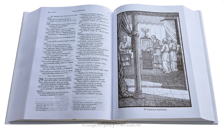 biblia papieska 2_ksiegarniaksiazkiprzyherbacie.jpg