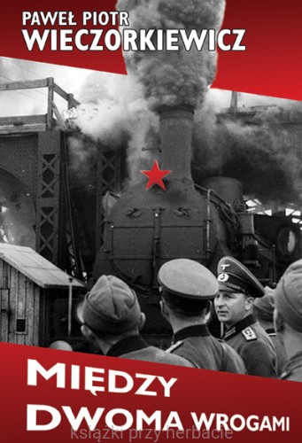 Między dwoma wrogami, Studia i publicystyka wieczorkiewicz_ksiegarniaksiazkiprzyherbacie.jpg