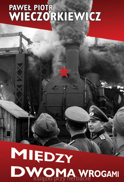 Między dwoma wrogami, Studia i publicystyka wieczorkiewicz_ksiegarniaksiazkiprzyherbacie.jpg