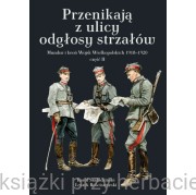 Przenikają z ulicy odgłosy strzałów. Mundur i broń Wojsk Wielkopolskich 1918–1920. Część II - 	Karol Szaładziński, Leszek Rościszewski
