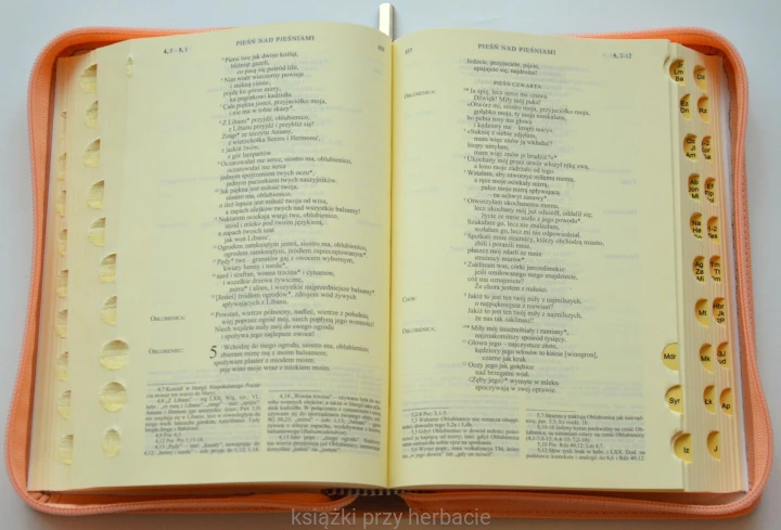 Biblia Tysiąclecia - Pismo Święte Starego i Nowego Testamentu (paginatory, skórzany futerał, format oazowy) kolor różowy 2_ksiegarniaksiazkiprzyherbacie.JPG