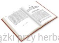 Historia Sanktuarium w Pompejach – Bartolo Longo (oprawa twarda) 4_ksiegarniaksiazkiprzyherbcie.jpg