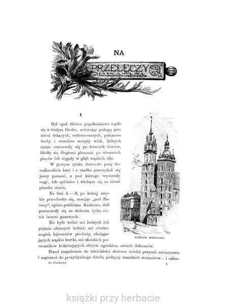 Na przełęczy. Wrażenia i obrazy z Tatr_witkiewicz 5_ksiegarniaksiazkiprzyherbacie.jpg