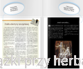 Teresa od Jezusa. Życie, nauka, czasy 4_ksiegarniaksiazkiprzyherbacie.jpg