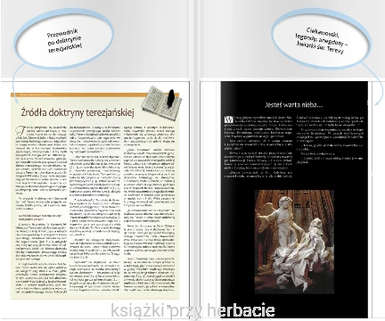 Teresa od Jezusa. Życie, nauka, czasy 4_ksiegarniaksiazkiprzyherbacie.jpg