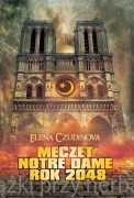 Meczet Notre Dame 2048 - Elena Czudinowa