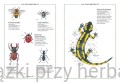 Ilustrowany inwentarz zwierząt 2_ksiegarniaksiazkiprzyherbacie.jpg