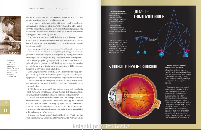 Sekrety Guadalupe. Rozszyfrowanie ukrytego kodu_górny_rosikoń 12_ksiegarniaksiazkiprzyherbacie.png