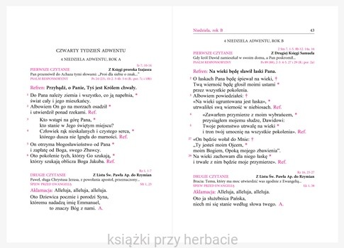 Śpiewy międzylekcyjne z Lekcjonarza Mszalnego. Tom 1. Śpiewy na Okres Adwentu, Narodzenia Pańskiego, Wielkiego Postu i Wielkancny_ksiegarniaksiazkiprzyherbacie.jpg