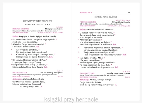 Śpiewy międzylekcyjne z Lekcjonarza Mszalnego. Tom 1. Śpiewy na Okres Adwentu, Narodzenia Pańskiego, Wielkiego Postu i Wielkancny_ksiegarniaksiazkiprzyherbacie.jpg