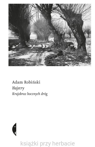 Hajstry. Krajobraz bocznych dróg_robiński_ksiegarniaksiazkiprzyherbacie.jpg