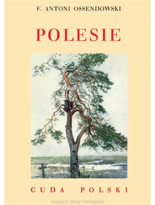 Polesie - Cuda Polski (miękka oprawa)_ossendowski_ksiegarniaksiazkiprzyherbacie.jpg