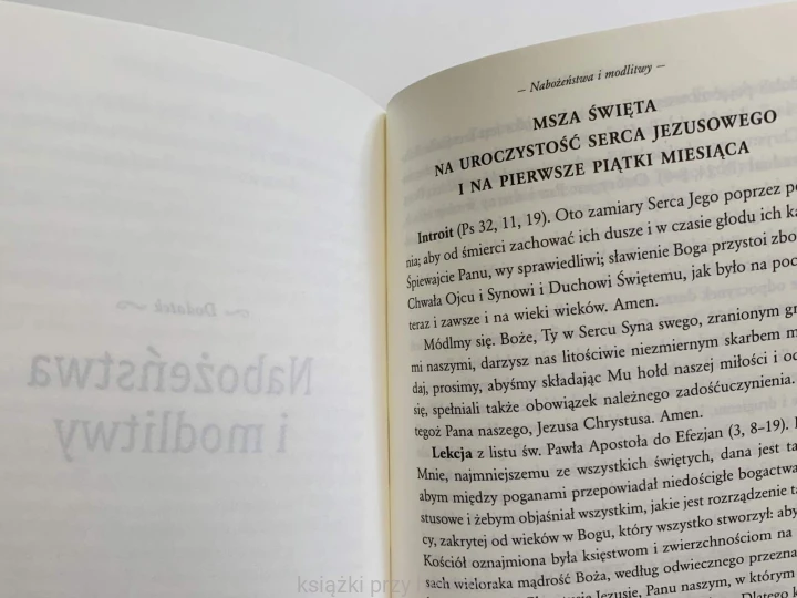 Jezus Król miłości 5_cravley_boevey_ksiegarniaksiazkiprzyherbacie.jpg