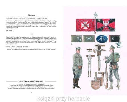 Polsce zawsze i wszędzie służyć będę. Mundur i broń Wojsk Wielkopolskich 1918 – 1920 2_ksiegarniaksiazkiprzyhebrbacie.jpg