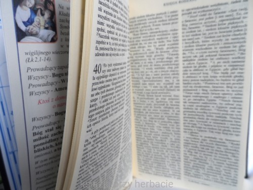 Biblia Tysiąclecia - Pismo Święte Starego i Nowego Testamentu_format oazowy 2_ksiegarniaksiazkiprzyherbacie.jpg