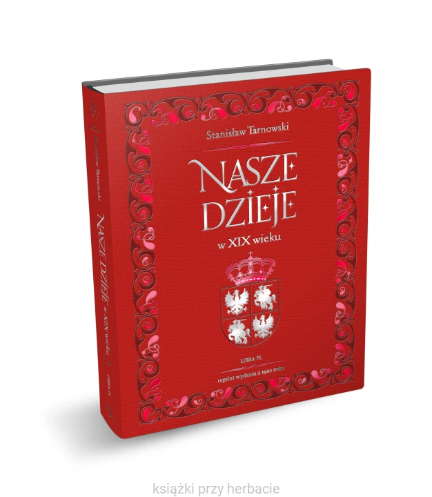 Nasze dzieje w XIX wieku_ksiegarniaksiazkiprzyherbacie.jpg