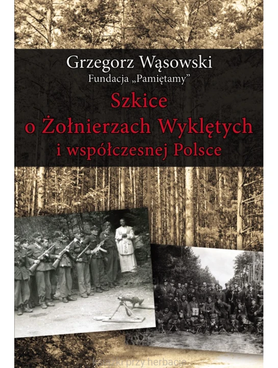 Szkice o Żołnierzach Wyklętych i współczesnej Polsce_wąsowski_ksiegarniaksiazkiprzyherbacie.jpg
