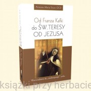 Od Franza Kafki do św. Teresy od Jezusa. Wprowadzenie do "niedostępnego" zamku - Antonio Maria Sicari OCD