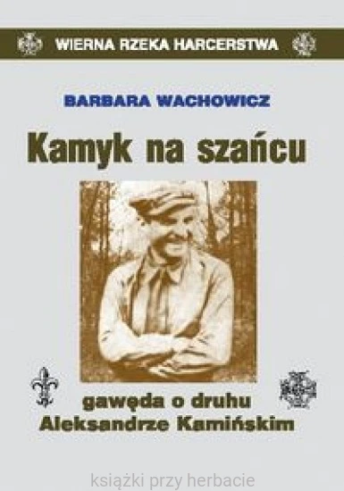 Kamyk na szańcu_wachowicz_ksiegarniaksiazkiprzyherbacie.jpg