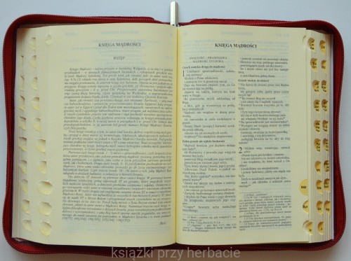 Biblia Tysiąclecia - Pismo Święte Starego i Nowego Testamentu (paginatory, skórzany futerał, format oazowy) kolor brązowy 2_ksiegarniaksiazkiprzyherbacie.JPG